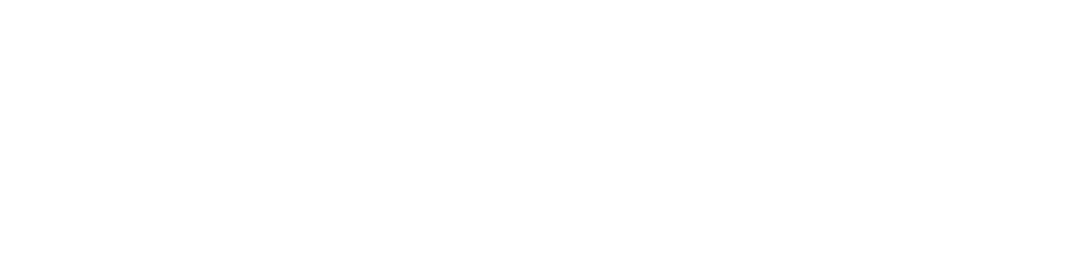Dupill Group